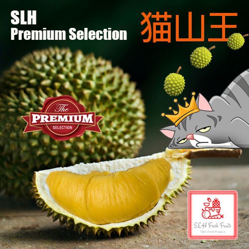SLH 猫山王 MSW Fresh Durian Delivery 400g