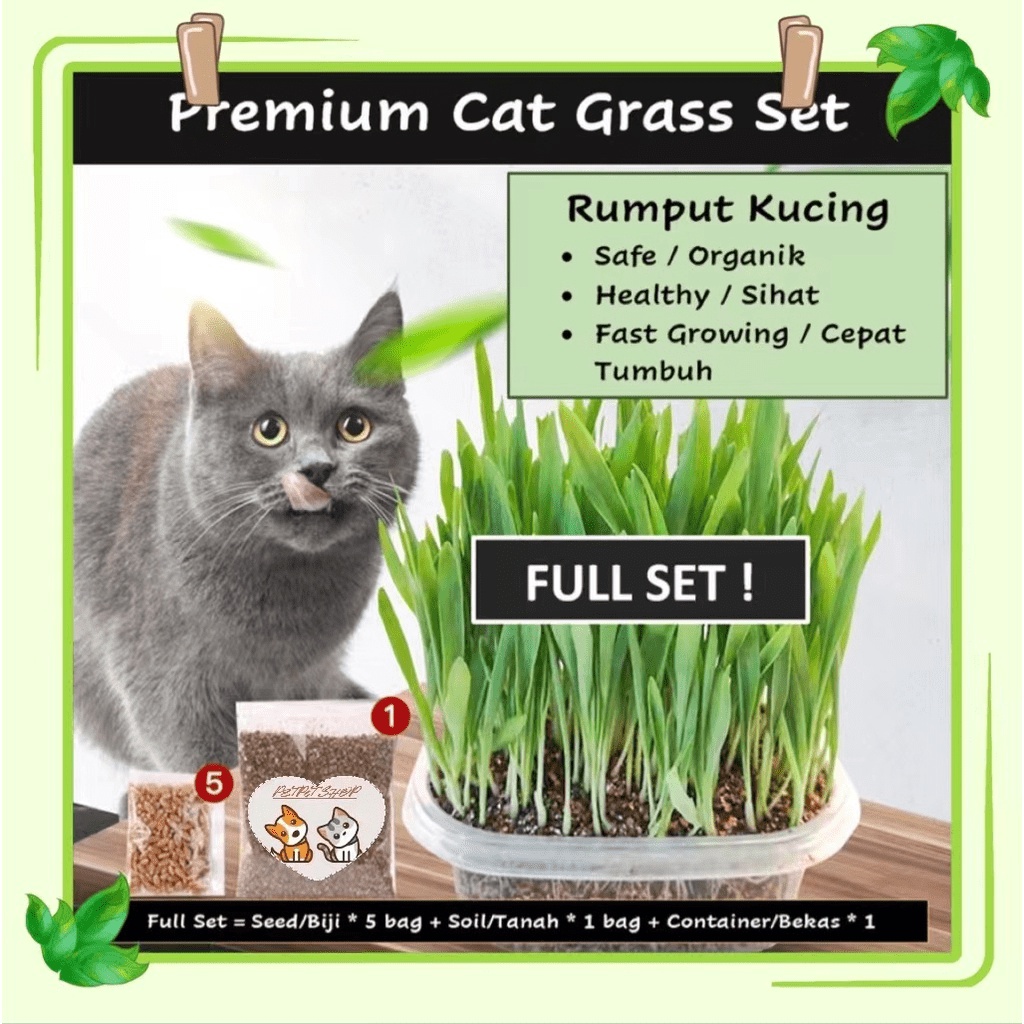 Cat Grass Vitamin Minerals and Fibers Wheat Grass - Biji Benih Rumput Kucing Improve Mental Stability & Immunes System