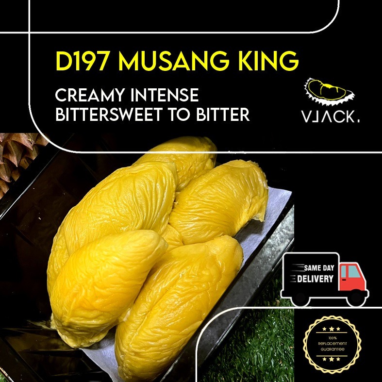 [Same Day Delivery] Pahang MSW Old Tree 500g Each Box Durian